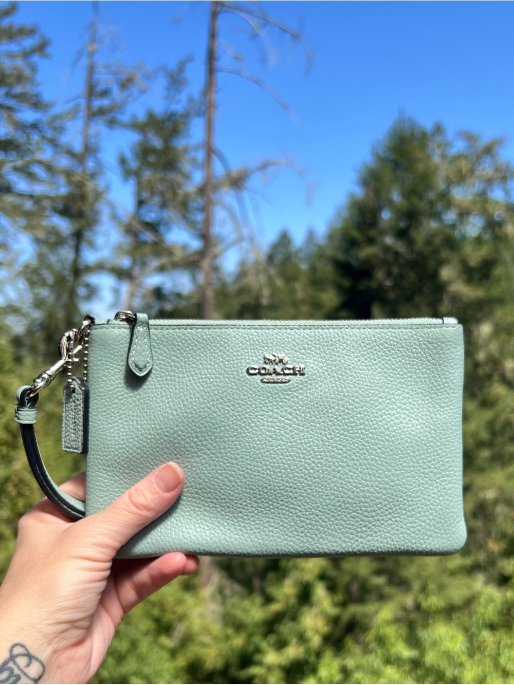 COACH Women's Small Wristlet Green Pebbled Leather Gunmetal Hardware 22952